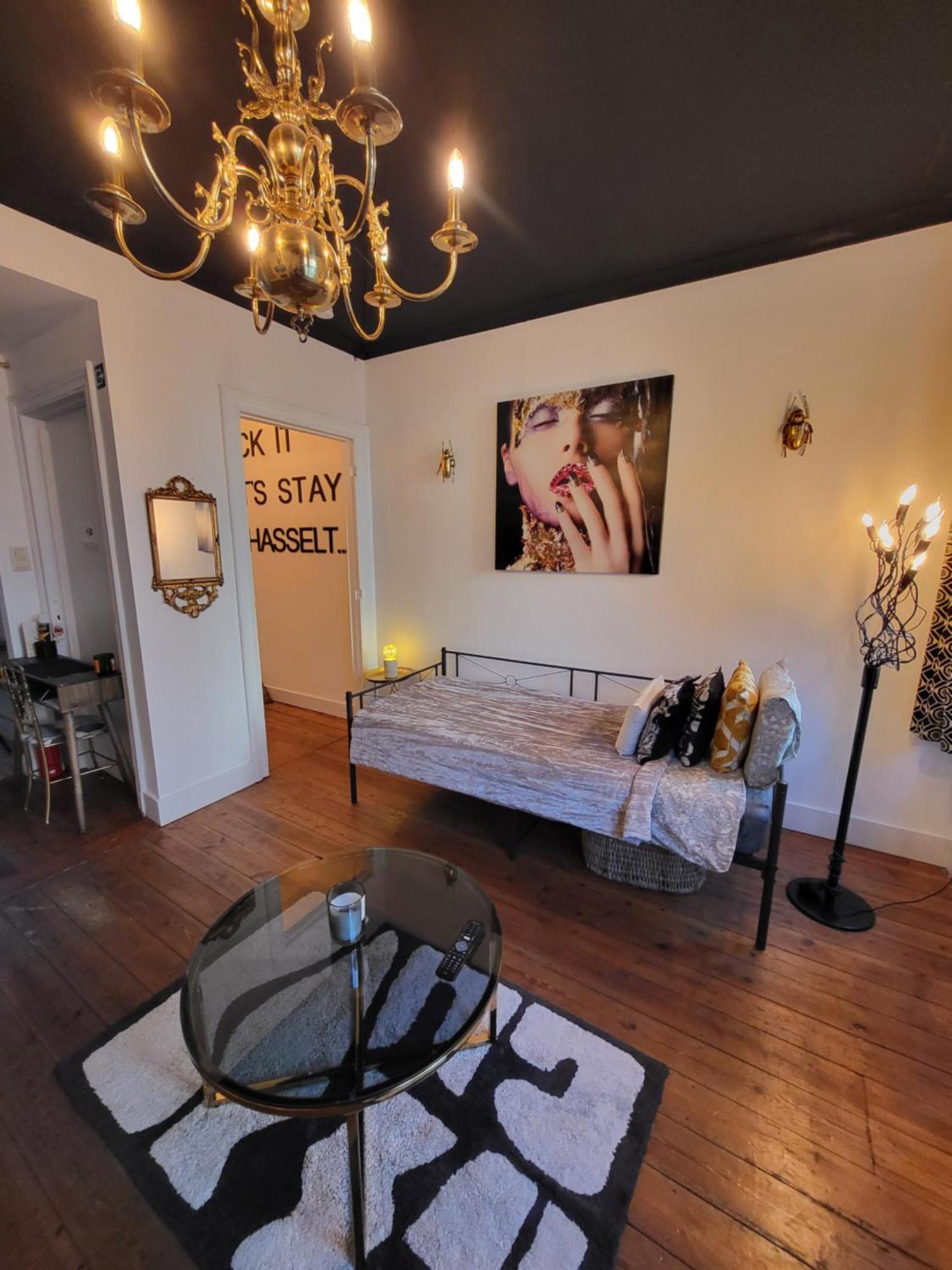 Ds39 - Sexy & Stylish Private Apartment With A Terrace In The Centre Of Hasselt For 1-8 People With Netflix Eksteriør bilde